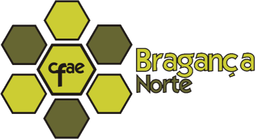 Centro de Formação da Associação de Escolas Bragança Norte